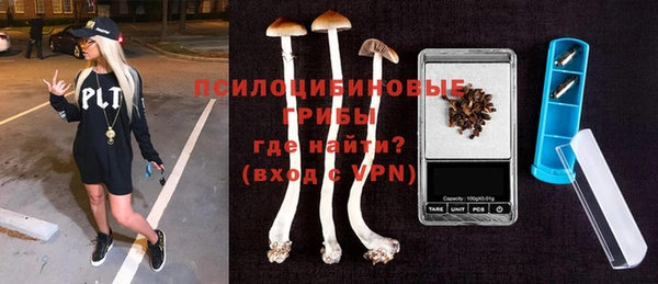 PSILOCYBIN Бородино